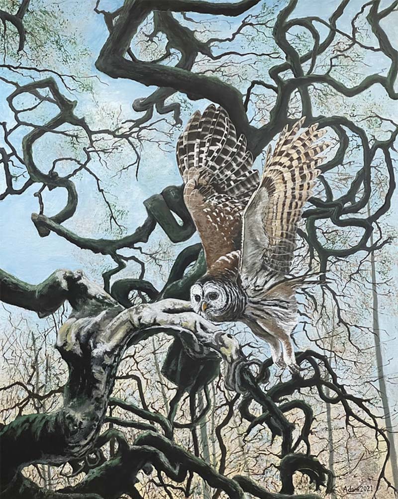 Grey Owl in Tangled Woods acrylic painting