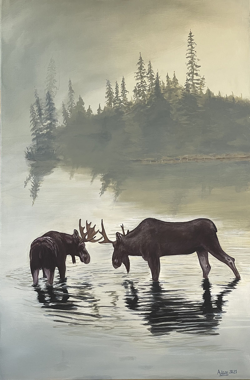 Moose, acrylic painting