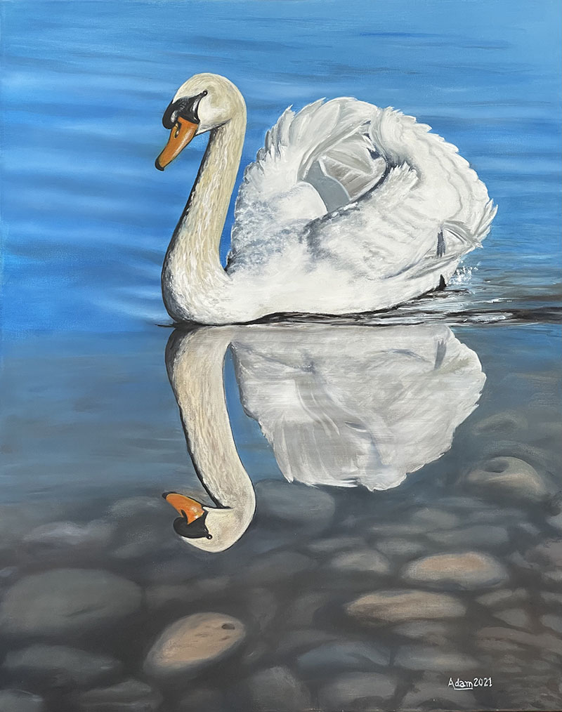 Swan, oil painting